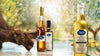 OLIO E ACETO